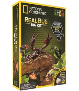 EXC. Y DESC. INSECTOS