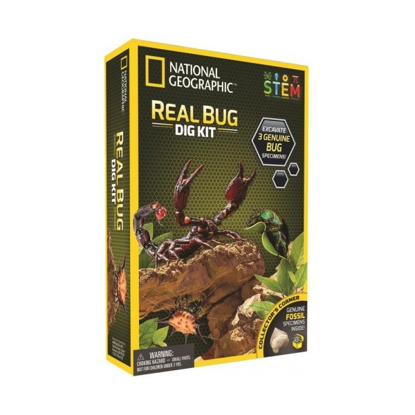 EXC. Y DESC. INSECTOS