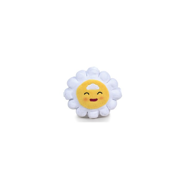 Ziwies
