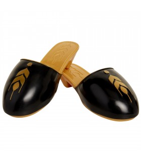 Frozen 2 zapatos Anna y Elsa Travel