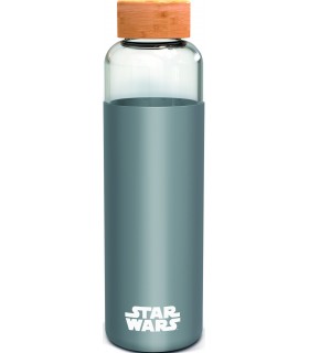 BOTELLA DE CRISTAL CON FUNDA DE SILICONA
