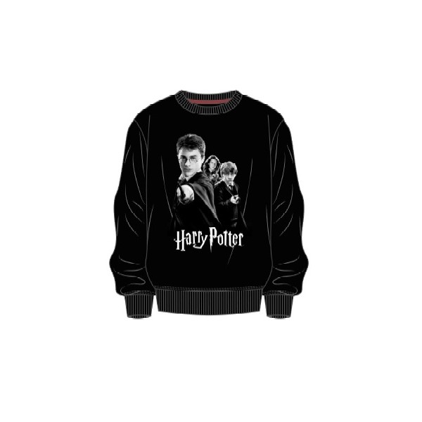 SUDADERA ADULTO HARRY POTTER