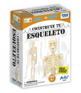 Hol Construye El Esqueleto