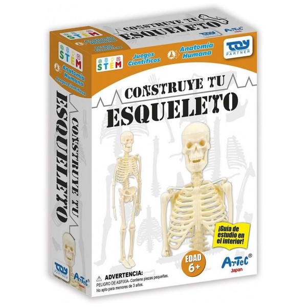 Hol Construye El Esqueleto