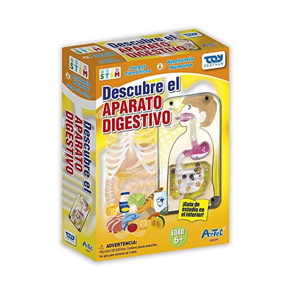 Hol Descubre El Aparato Digestivo