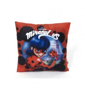 BOLSA BEACHMATT COJIN LADYBUG 35X35