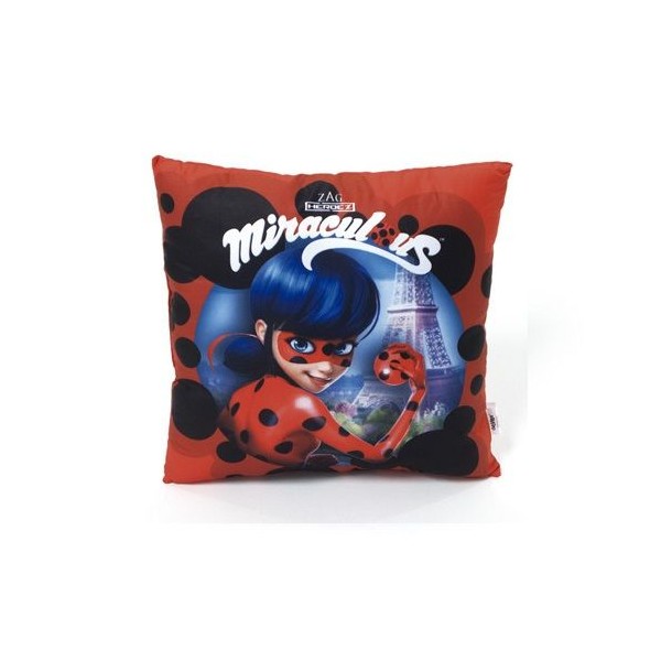 BOLSA BEACHMATT COJIN LADYBUG 35X35