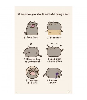 POSTER PUSHEEN THE CAT