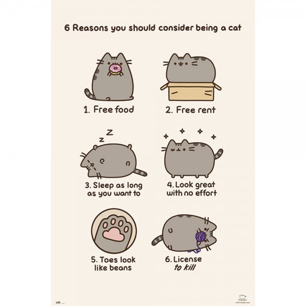 POSTER PUSHEEN THE CAT