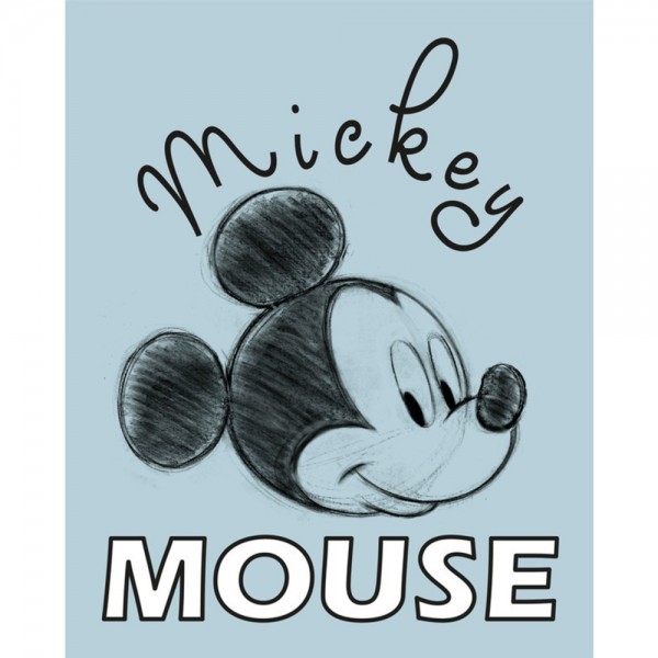 CANVAS 20X25 CM DISNEY MICKEY MOUSE