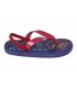 CHANCLAS PREMIUM HARRY POTTER