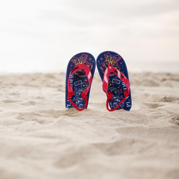 CHANCLAS PREMIUM HARRY POTTER