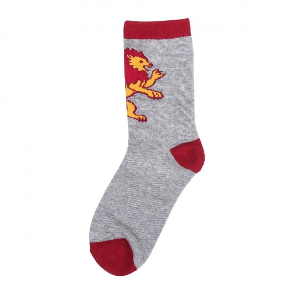 PACK BRAGUITAS MAS CALCETINES 4 PIEZAS HARRY POTTER