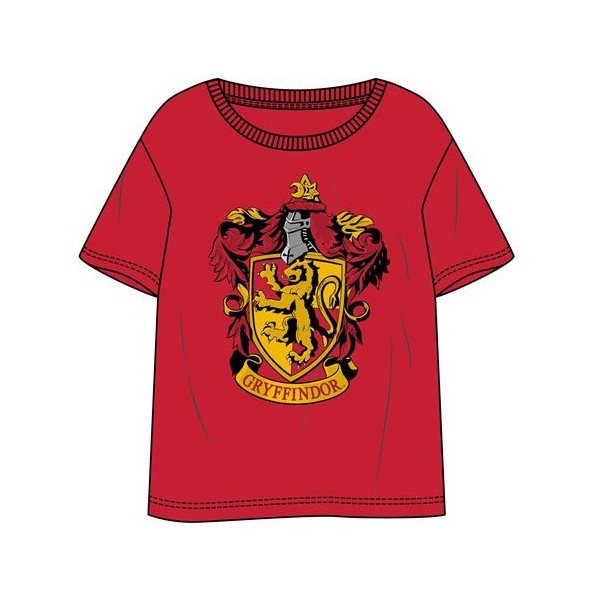 CAMISETA HARRY POTTER ADULTO