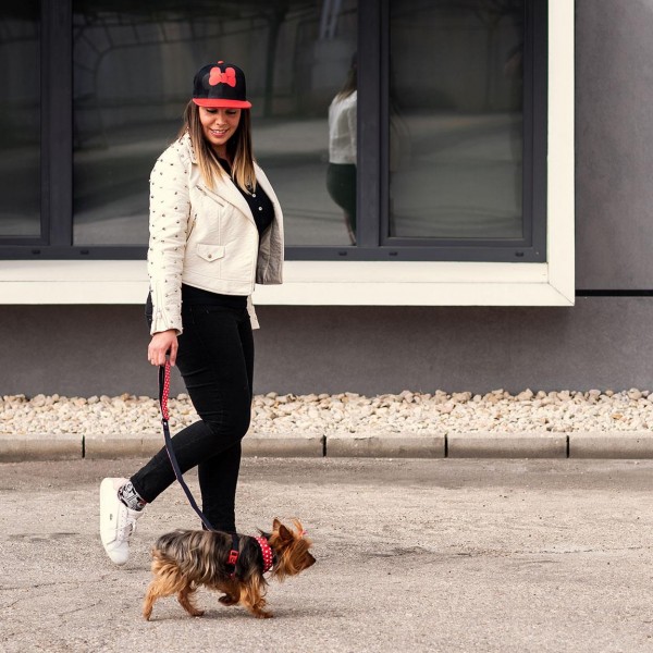 CORREA PARA PERROS M MINNIE