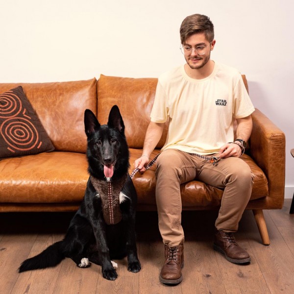 CORREA PARA PERROS M STAR WARS CHEWBACCA
