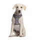 ARNÉS PARA PERROS S/M THE MANDALORIAN