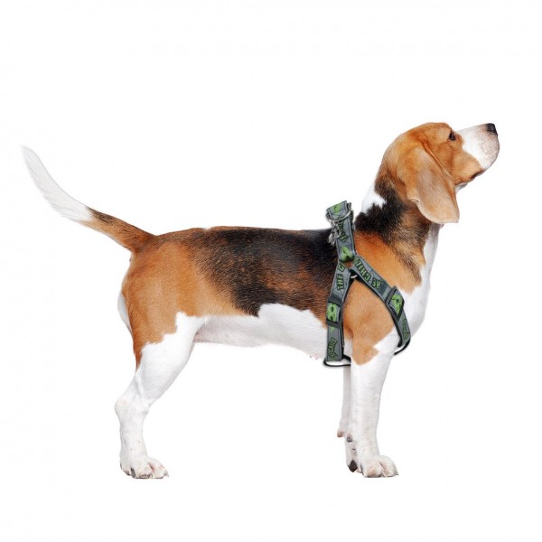 PETRAL PARA PERRO XS/S THE MANDALORIAN