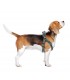 PETRAL PARA PERRO S/M THE MANDALORIAN