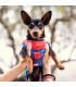 CAMISETA PARA PERRO SINGLE JERSEY SPIDERMAN