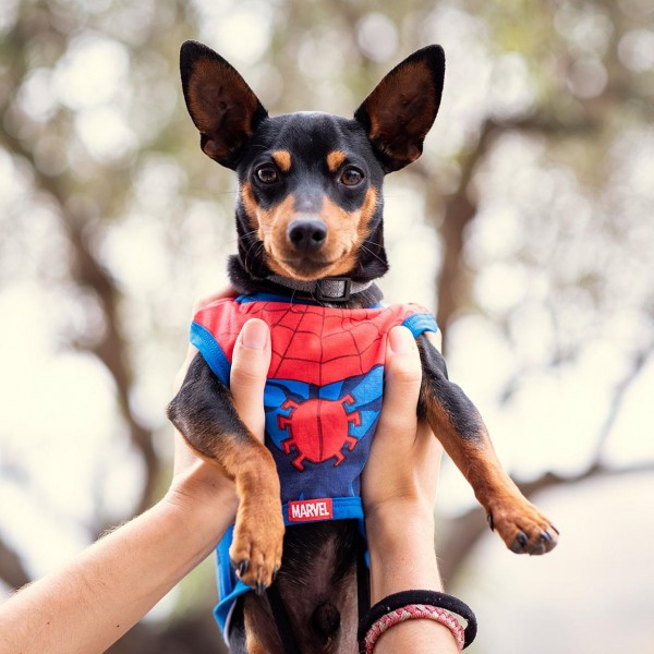 CAMISETA PARA PERRO SINGLE JERSEY SPIDERMAN