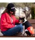 CAMISETA PARA PERRO SINGLE JERSEY MICKEY