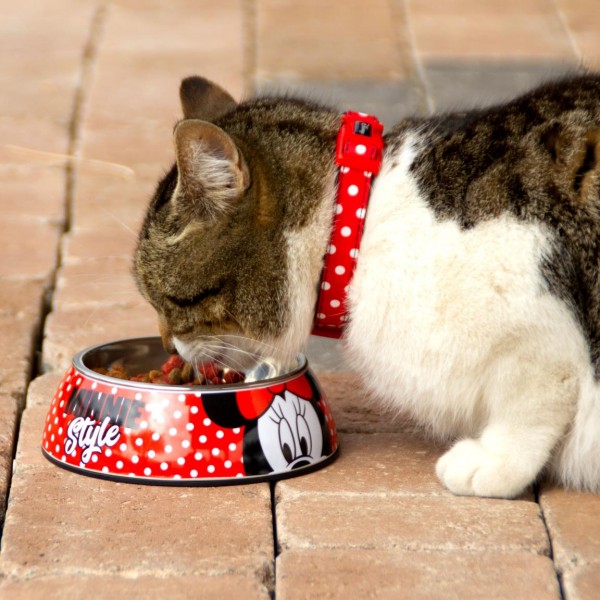 COMEDERO PARA PERRO L MINNIE