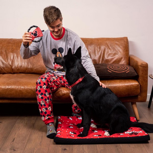 CUERDA DENTAL PARA PERRO MINNIE
