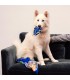CUERDA DENTAL PARA PERRO AVENGERS