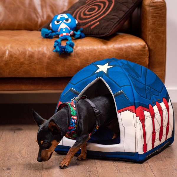 CUERDA DENTAL PARA PERRO AVENGERS CAPITAN AMERICA