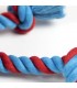 CUERDA DENTAL PARA PERRO SPIDERMAN
