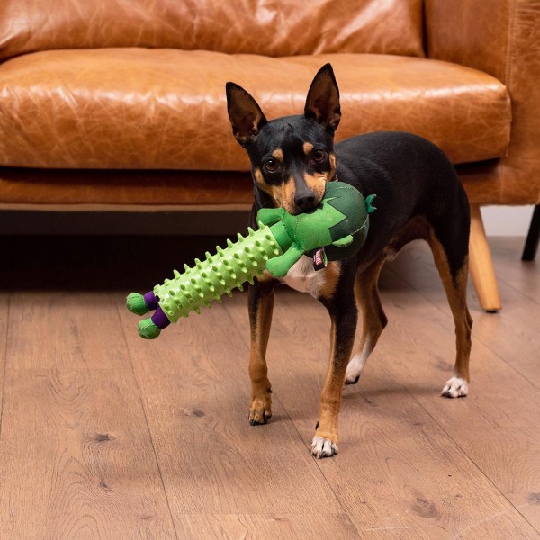 MORDEDOR PARA PERRO AVENGERS HULK