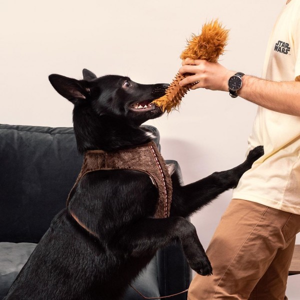 MORDEDOR PARA PERRO STAR WARS CHEWBACCA