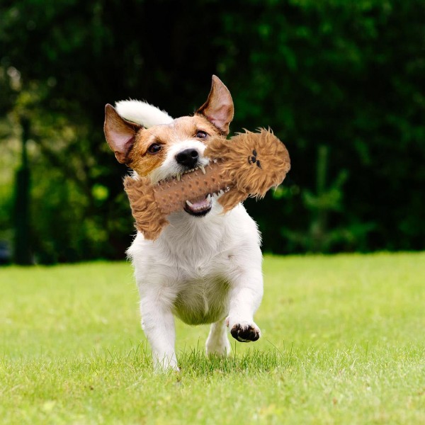 MORDEDOR PARA PERRO STAR WARS CHEWBACCA