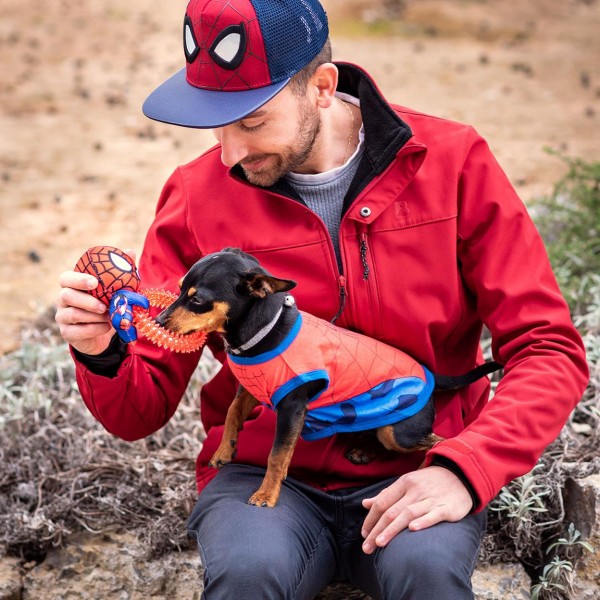 MORDEDOR PARA PERRO SPIDERMAN