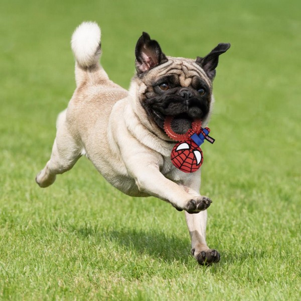 MORDEDOR PARA PERRO SPIDERMAN