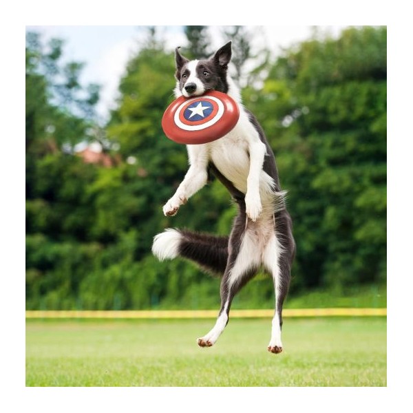 Frisbee Para Perro Avengers Capitan America