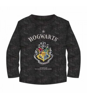 CAMISETA LARGA SINGLE JERSEY HARRY POTTER