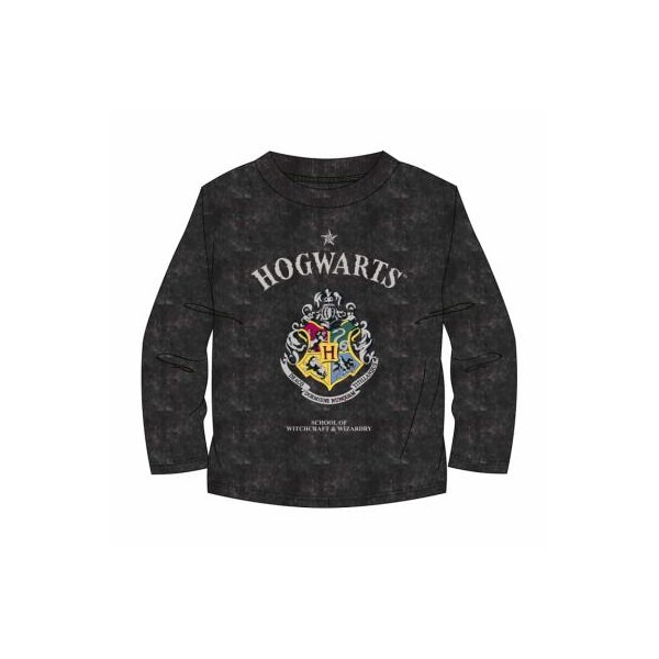 CAMISETA LARGA SINGLE JERSEY HARRY POTTER