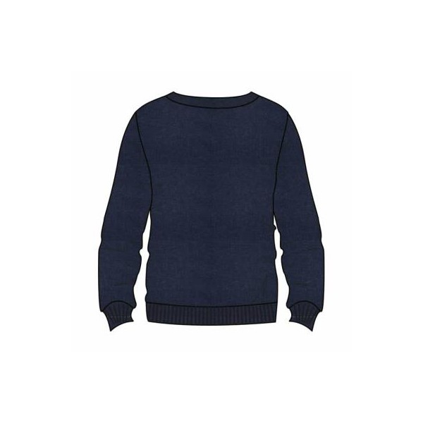 SUDADERA ADULTO HARRY POTTER
