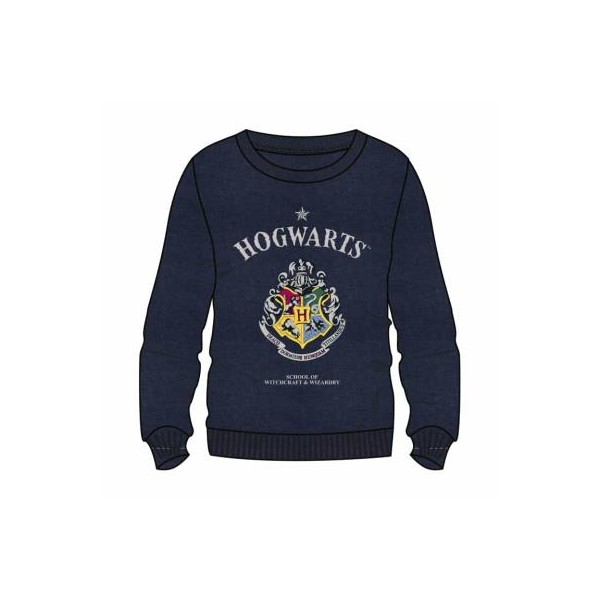 SUDADERA ADULTO HARRY POTTER
