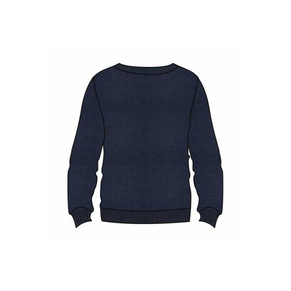 SUDADERA ADULTO HARRY POTTER