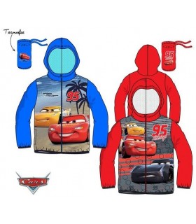 CHUBASQUERO CARS