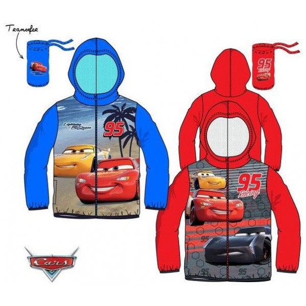 CHUBASQUERO CARS