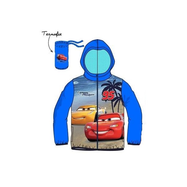 CHUBASQUERO CARS