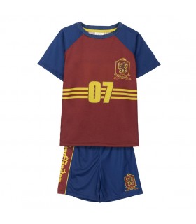CONJUNTO 2 PIEZAS INTERLOCK 2 PIEZAS HARRY POTTER