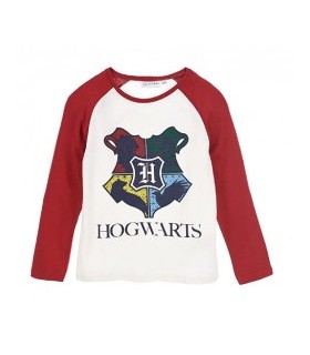 CAMISETA MANGA LARGA HARRY POTTER