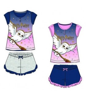 CONJUNTO HARRY POTTER