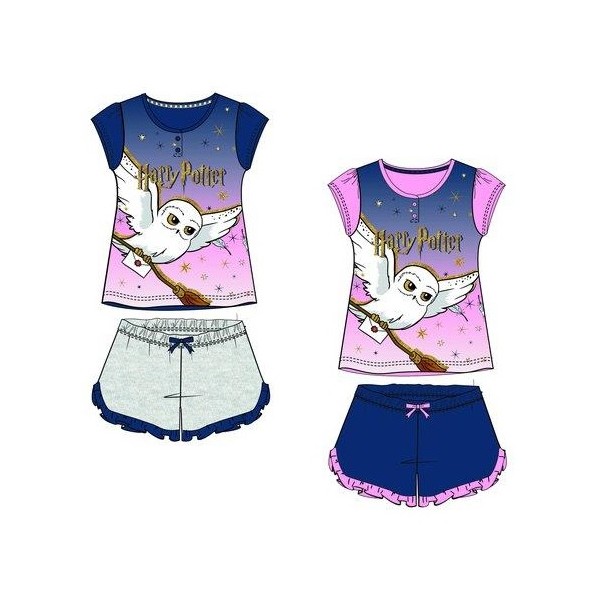 CONJUNTO HARRY POTTER