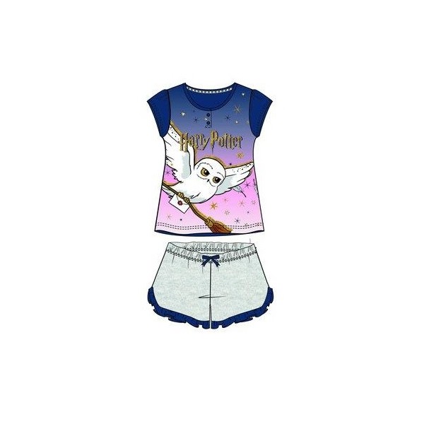 CONJUNTO HARRY POTTER
